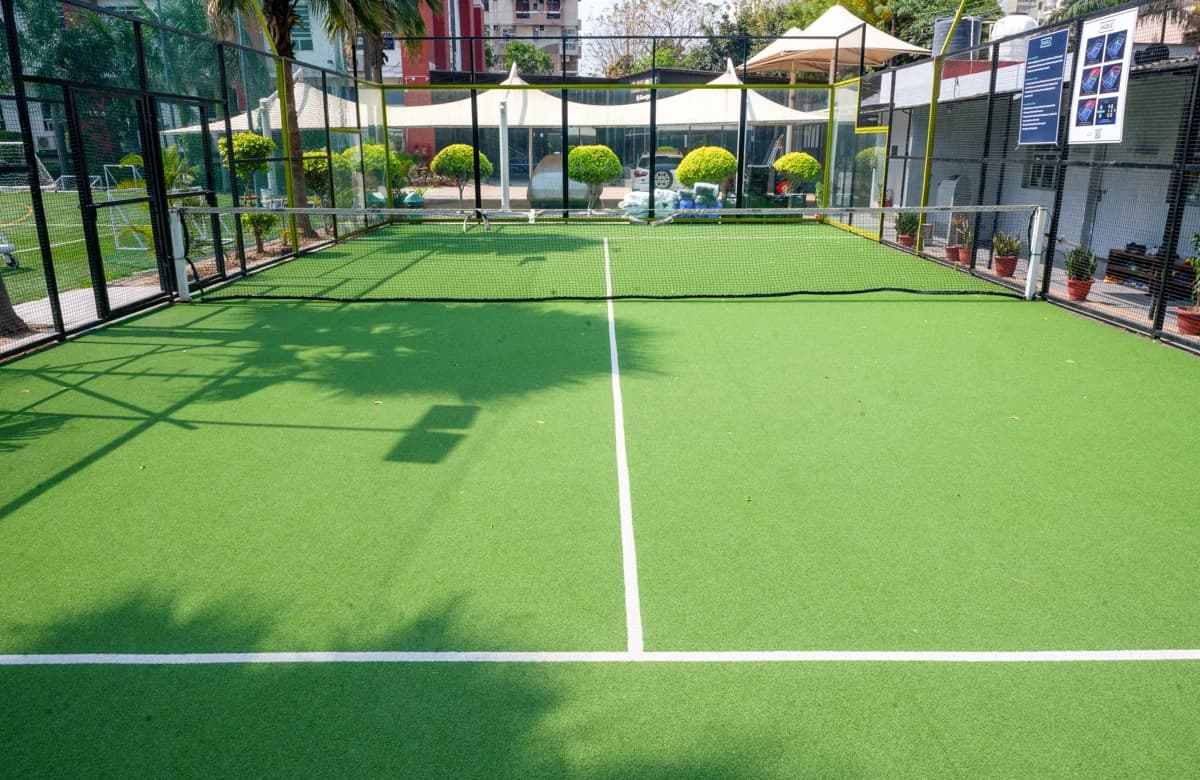 Paddle Tannis image 2