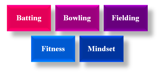 Best Cricket Academy in Noida