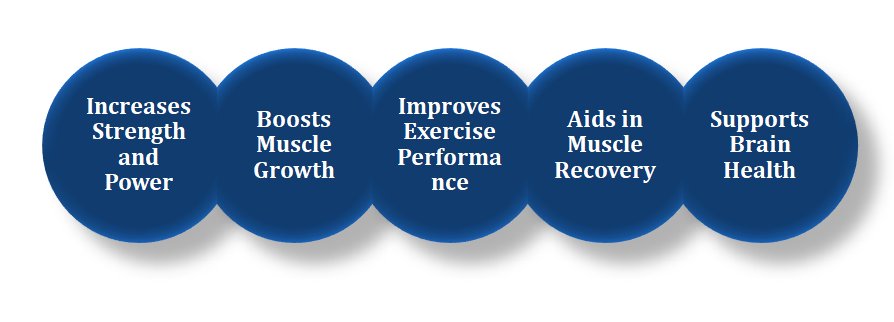 benefits of creatine 