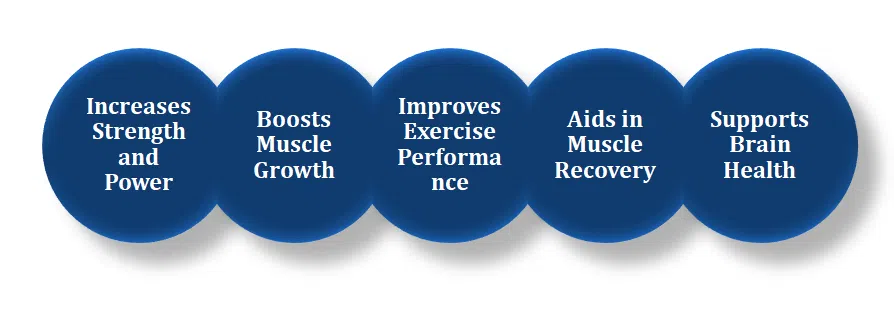 benefits of creatine 