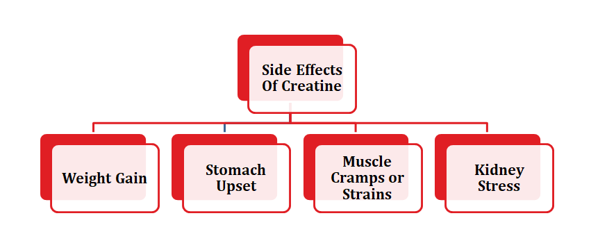 Side Effects of creatine
