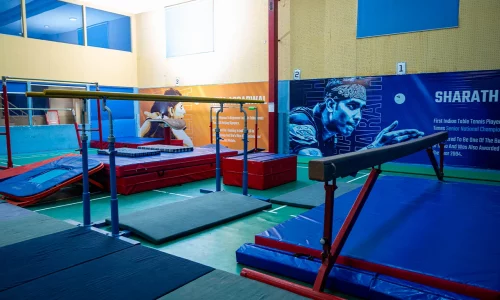 Gymnastics-1