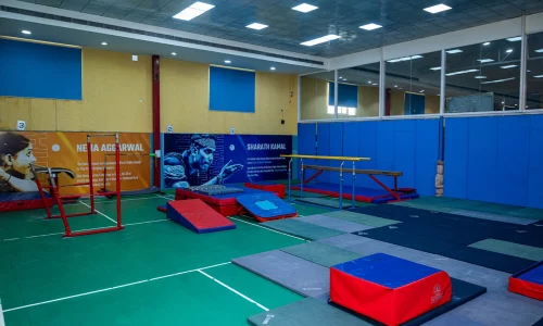 Gymnastics-2
