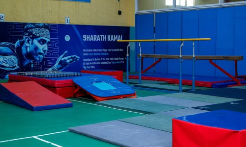 Gymnastics