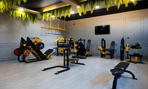 gym-1