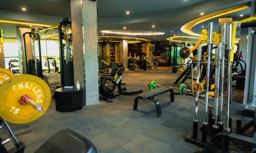gym-11