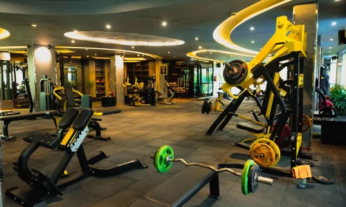 gym-12