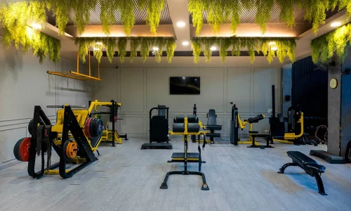 gym-4