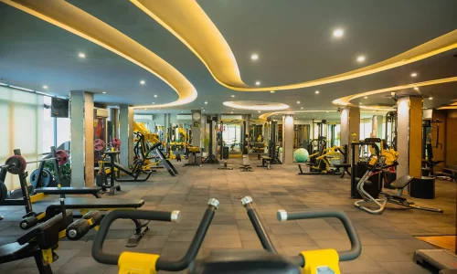 gym-8